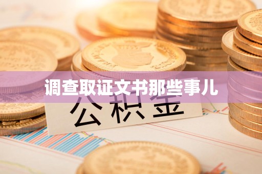 宁国调查取证文书那些事儿