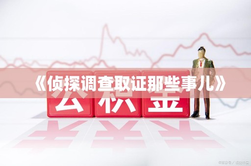 宁国《侦探调查取证那些事儿》