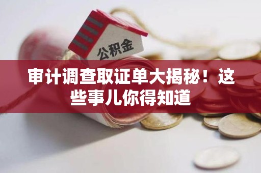 宁国审计调查取证单大揭秘！这些事儿你得知道