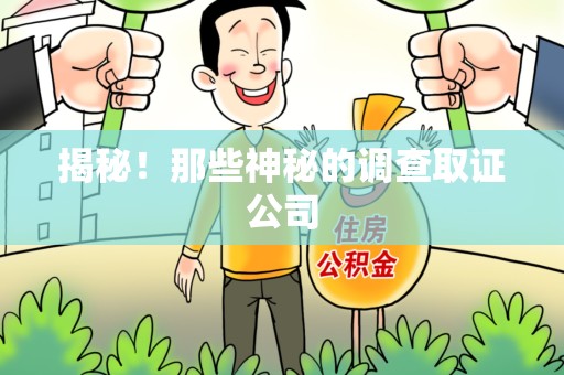 宁国揭秘！那些神秘的调查取证公司