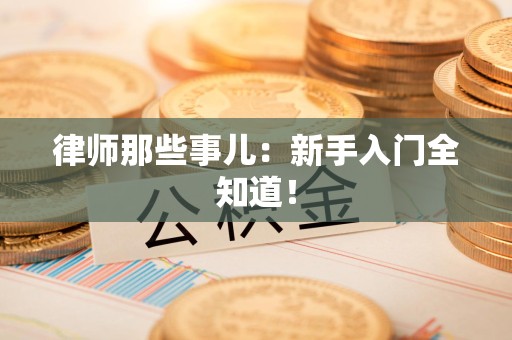 宁国律师那些事儿：新手入门全知道！
