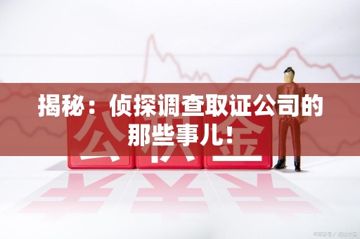 宁国揭秘：侦探调查取证公司的那些事儿！