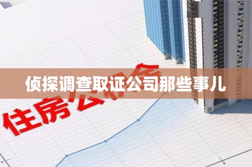 宁国侦探调查取证公司那些事儿