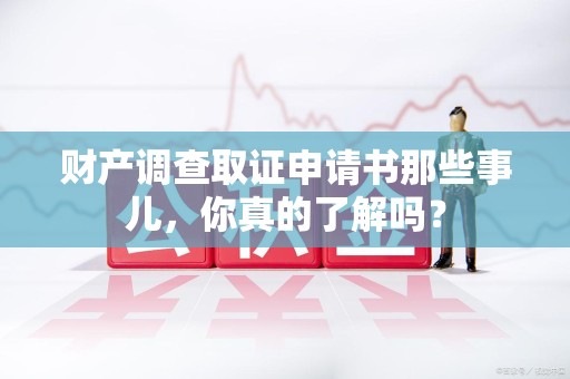 宁国财产调查取证申请书那些事儿，你真的了解吗？