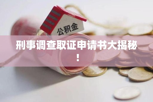 宁国刑事调查取证申请书大揭秘！