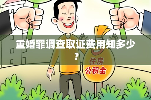 宁国重婚罪调查取证费用知多少？