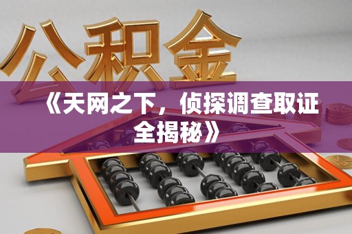 宁国《天网之下，侦探调查取证全揭秘》