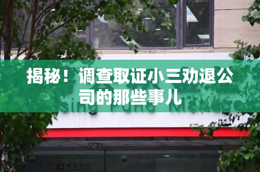 宁国揭秘！调查取证小三劝退公司的那些事儿