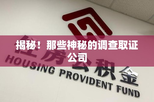 宁国揭秘！那些神秘的调查取证公司