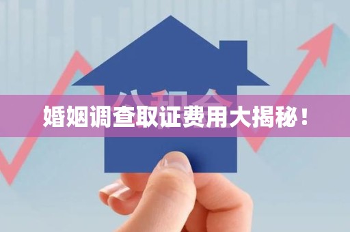 宁国婚姻调查取证费用大揭秘！