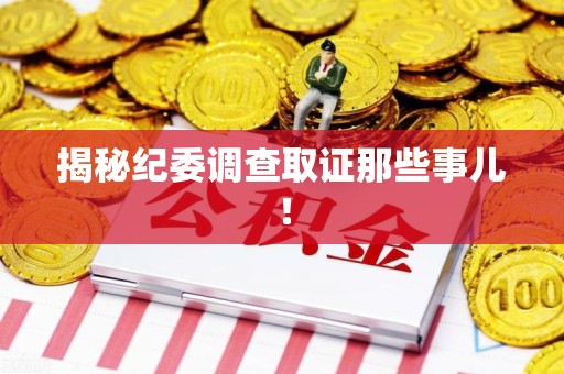 宁国揭秘纪委调查取证那些事儿！
