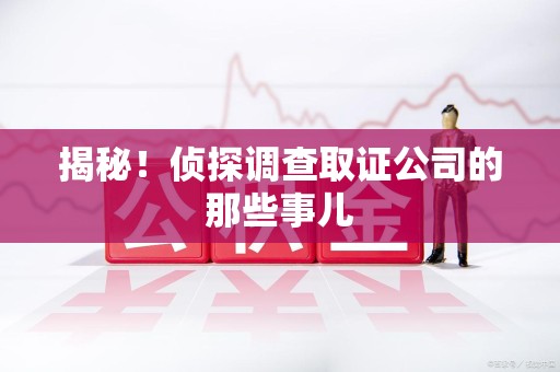 宁国揭秘！侦探调查取证公司的那些事儿
