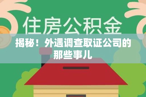 宁国揭秘！外遇调查取证公司的那些事儿