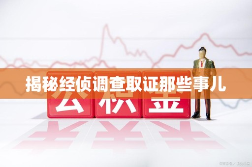宁国揭秘经侦调查取证那些事儿