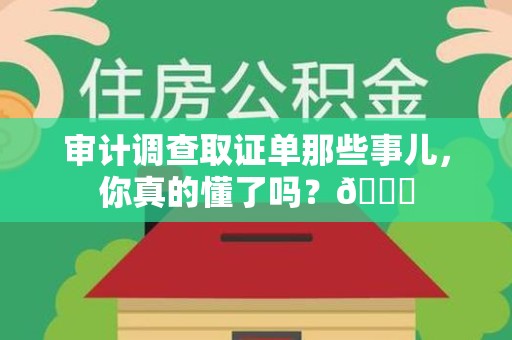 宁国审计调查取证单那些事儿，你真的懂了吗？😎
