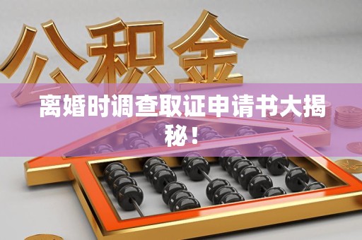 宁国离婚时调查取证申请书大揭秘！